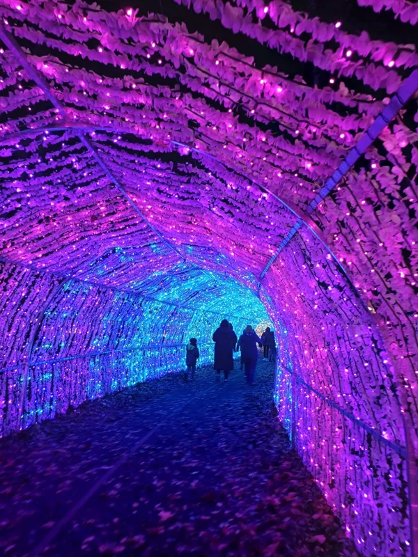 Świetlny tunel w ogrodzie świateł, w głębi idą uczestnicy wycieczki
