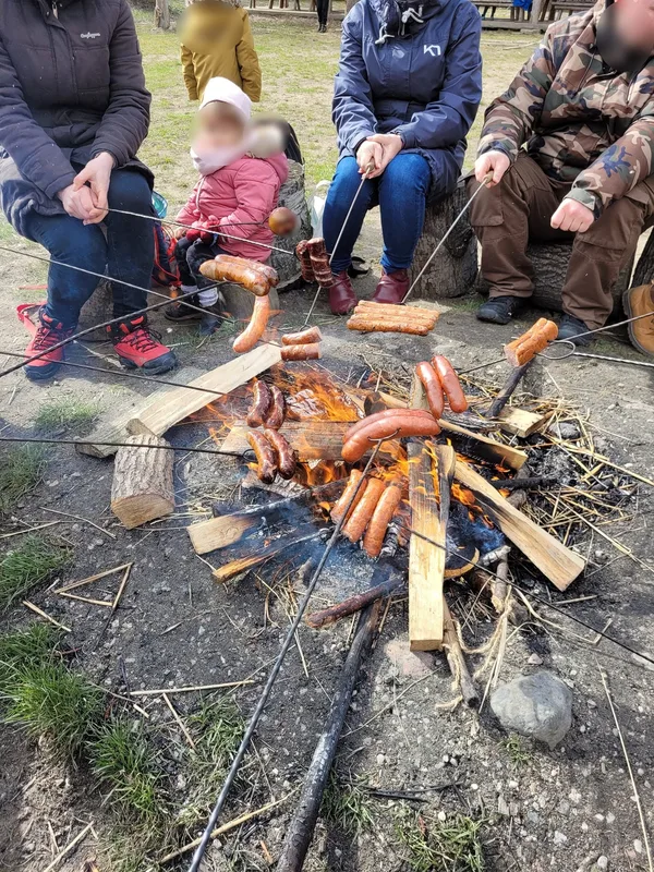 Pieczenie jabłek nad ogniskiem